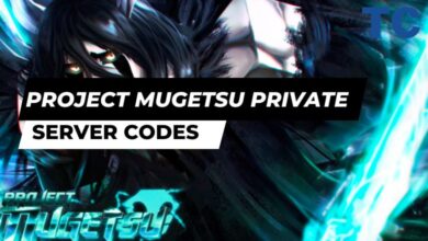 Project Mugetsu Private Server Codes